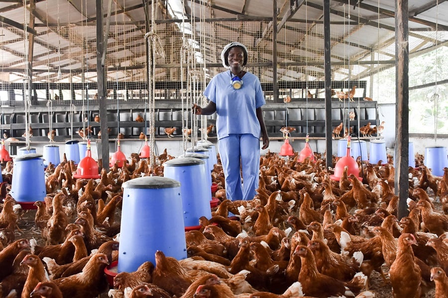 poultry-workers